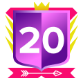 
                              20                              